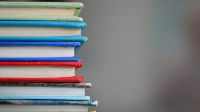 Melhores livros e cursos de AI para modelagem profissional