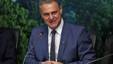 Ministério da Agricultura retoma exportações de carne de frango