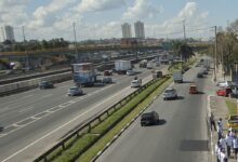 Anatel realiza leilão da Rota da Celulose com quatro ofertas e atrai investimento