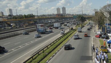 Anatel realiza leilão da Rota da Celulose com quatro ofertas e atrai investimento
