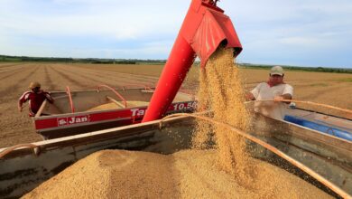 Agro brasileiro ganha com guerra tarifária e eleva mercado de soja