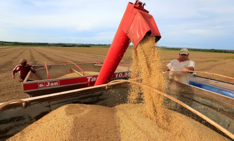 Agro brasileiro ganha com guerra tarifária e eleva mercado de soja