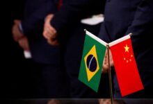 Brasil amplia mercado chinês com cinco novas oportunidades
