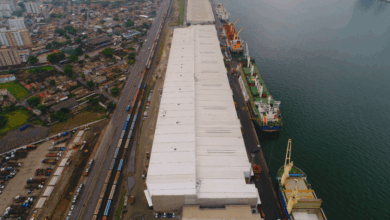 J&F busca controlar Eldorado Celulose no mercado de papel