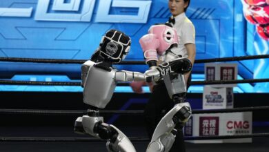 Robô de boxe humanoide desafia dominance da Tesla com gadget