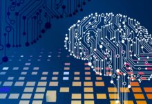 Regulação de AI é desafiadora, mas essencial para ética e economia
