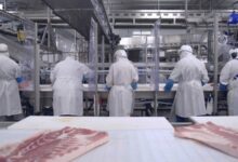 Minerva reverte prejuízo e lucra R$ 185 mi no 1º tri com avanço no mercado