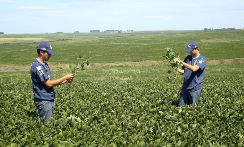 Agro brasileiro firma novos acordos e investe na China