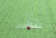 Agro projeta impacto no mercado com acordo EUA-China