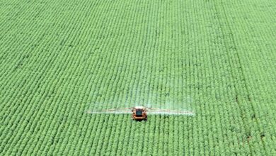 Agro projeta impacto no mercado com acordo EUA-China