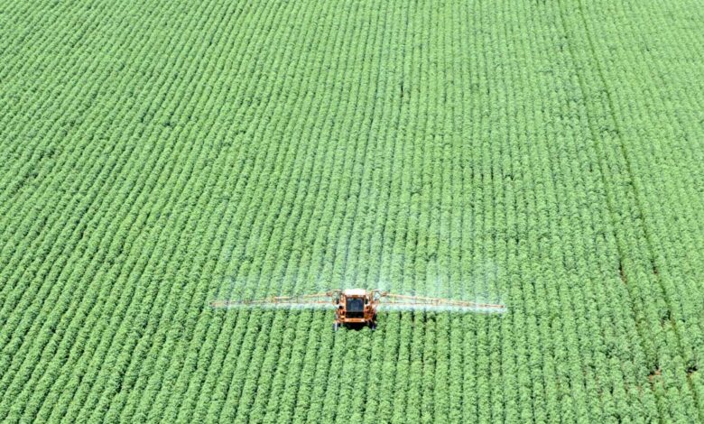 Agro projeta impacto no mercado com acordo EUA-China