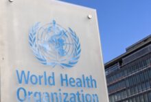 OMS alerta para surto de antraz e destaca necessidade de vacina