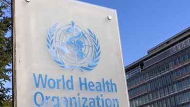 OMS alerta para surto de antraz e destaca necessidade de vacina