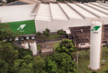 Klabin mantém resultado conforme esperado no 1º tri com impacto no mercado