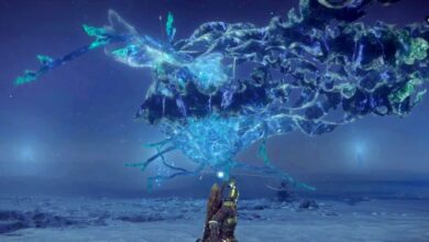 Elden Ring Nightreign: dicas para vencer Maris no PS5