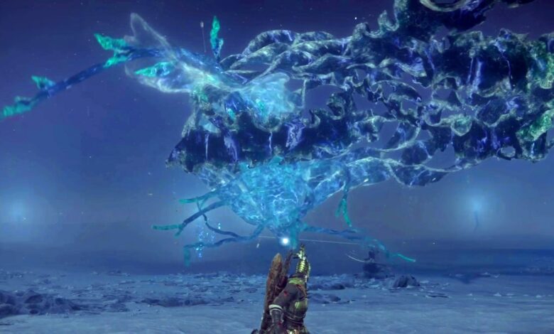Elden Ring Nightreign: dicas para vencer Maris no PS5