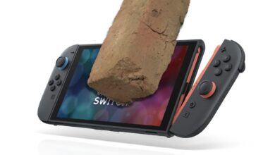 Nintendo deve buscar alternativa melhor que bloquear Switches por pirataria em games