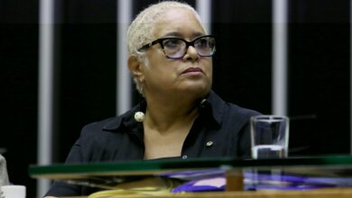 Deputada relata barramento na Câmara e questiona eleição racial