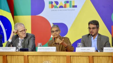 Governo registra queda no desmatamento anual e avalia pico em abril