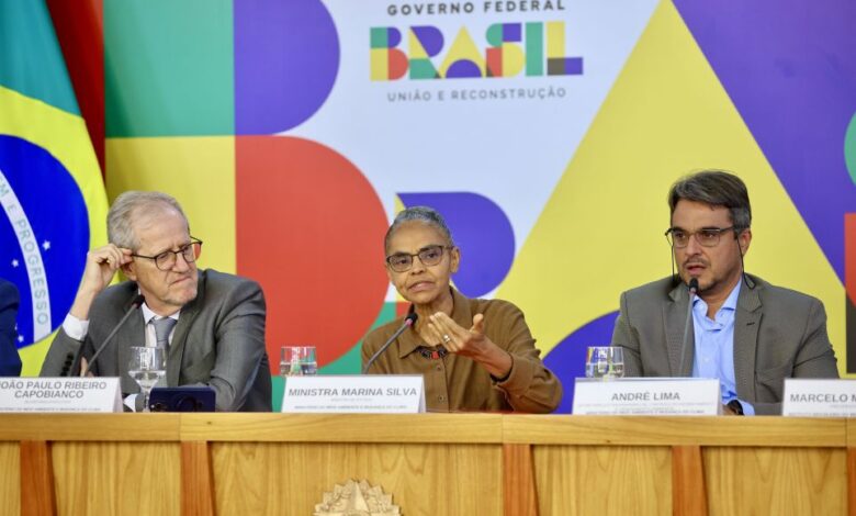 Governo registra queda no desmatamento anual e avalia pico em abril