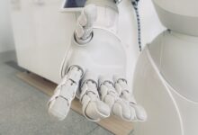 AI precisa de um guia moral para exercer livre-arbítrio