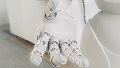 AI precisa de um guia moral para exercer livre-arbítrio
