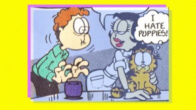 Garfield completa 35 anos com polêmica sobre criação de games