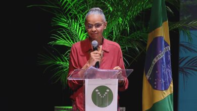 Marina afirma que Congresso deu golpe de morte no licenciamento ambiental