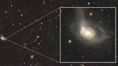 Astrônomos detectam buraco negro devorando estrela em fusão