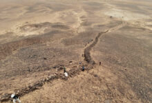 Aerial drone photograph showing the preserved stone section of the Gobi Wall traversing the hillside. Image credit: Golan et al., doi: 10.3390/land14051087.