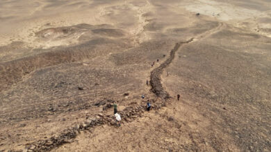 Aerial drone photograph showing the preserved stone section of the Gobi Wall traversing the hillside. Image credit: Golan et al., doi: 10.3390/land14051087.