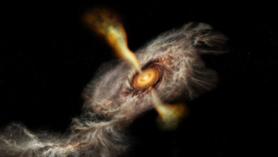 Ammonia gas infalling into an accretion disk feeding the protostar HW2. Image credit: NSF / AUI / NSF / NRAO / B. Saxton.