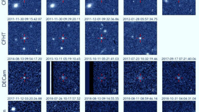 Cutout images of all 19 detections of 2017 OF201. Image credit: Cheng et al., arXiv: 2505.15806.