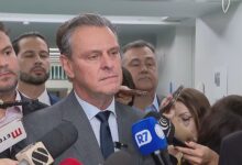 Fávaro afirma: prazo de 28 dias para controle da gripe aviária