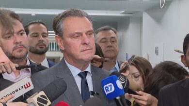 Fávaro afirma: prazo de 28 dias para controle da gripe aviária
