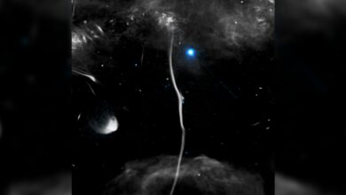 NASA identifica fratura em estrutura cósmica usando observatório X-ray