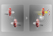 Illustration of an ultraperipheral collision where the two lead (208Pb) ion beams at the LHC pass by close to each other without colliding; in the electromagnetic dissociation process, a photon interacting with a nucleus can excite oscillations of its internal structure and result in the ejection of small numbers of neutrons (two) and protons (three), leaving the gold (203Au) nucleus behind. Image credit: CERN.