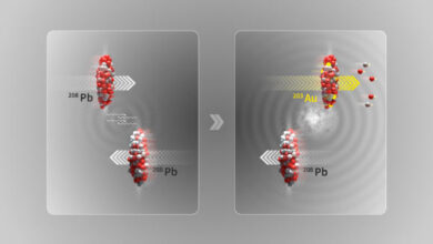 Illustration of an ultraperipheral collision where the two lead (208Pb) ion beams at the LHC pass by close to each other without colliding; in the electromagnetic dissociation process, a photon interacting with a nucleus can excite oscillations of its internal structure and result in the ejection of small numbers of neutrons (two) and protons (three), leaving the gold (203Au) nucleus behind. Image credit: CERN.