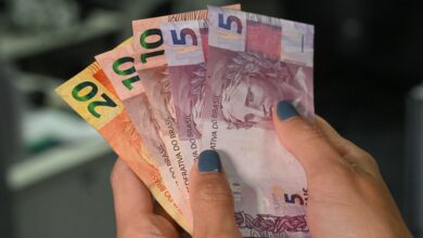 IBGE aponta impacto do benefício social no rendimento médio e inflação em 2024