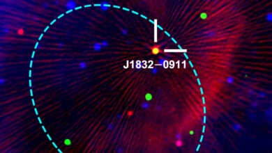 Radio Wave- and X-Ray-Emitting Star is Unlike Anything Astronomers Have Seen in Our Galaxy