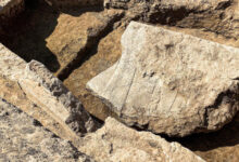 A fragment of the 2,600-year-old stone relief from the archaeological site of Nineveh. Image credit: Aaron Schmitt.