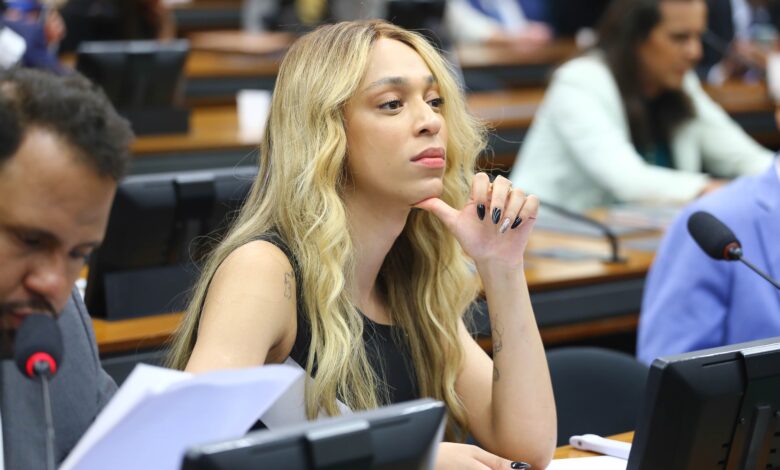 Erika Hilton presidirá subcomissão da Câmara sobre PEC 6x1 no Congresso