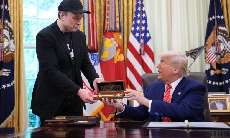 Trump revela que Elon não vai sair durante conferência DOGE