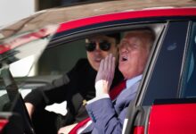 Grok revela setor de gadgets na narrativa de Trump sobre Musk