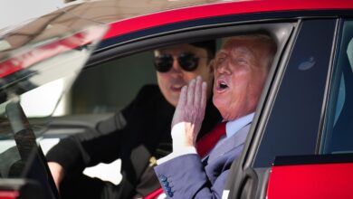 Grok revela setor de gadgets na narrativa de Trump sobre Musk