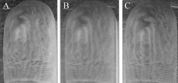 Images of topographical skin wrinkles overlaid on each other from the two different time points 24 h apart, with opacity levels of (A) 0%, (B) 50%, (C) 100%. Image credit: Guy German.