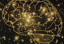 Different theories explain how subjective experience arises from brain activity. These theories have independently accrued evidence, but have not been directly compared. Ferrante et al. present an open science adversarial collaboration directly juxtaposing integrated information theory (IIT) and global neuronal workspace theory (GNWT) via a theory-neutral consortium. Image credit: NASA / ESA / JPL-Caltech / STScI / Sci.News.