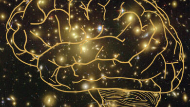 Different theories explain how subjective experience arises from brain activity. These theories have independently accrued evidence, but have not been directly compared. Ferrante et al. present an open science adversarial collaboration directly juxtaposing integrated information theory (IIT) and global neuronal workspace theory (GNWT) via a theory-neutral consortium. Image credit: NASA / ESA / JPL-Caltech / STScI / Sci.News.