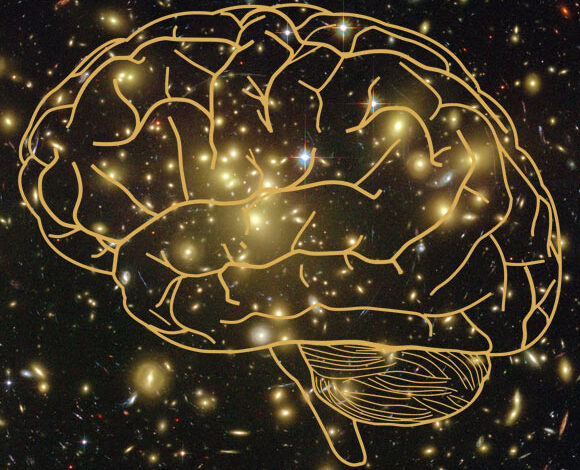 Different theories explain how subjective experience arises from brain activity. These theories have independently accrued evidence, but have not been directly compared. Ferrante et al. present an open science adversarial collaboration directly juxtaposing integrated information theory (IIT) and global neuronal workspace theory (GNWT) via a theory-neutral consortium. Image credit: NASA / ESA / JPL-Caltech / STScI / Sci.News.