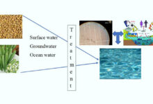 Srinivasan et al. demonstrated that plant-based polysaccharides showed better microplastic removal efficiency than polyacrylamide, which is commercially used for water treatment. Image credit: Srinivasan et al., doi: 10.1021/acsomega.4c07476.